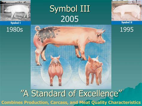characteristics in a quality maket hog